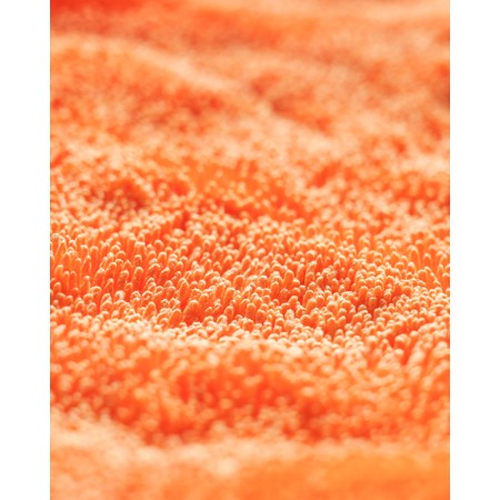 CarPro Dhydrate Bold 70x90cm 1000gsm Drying Towel